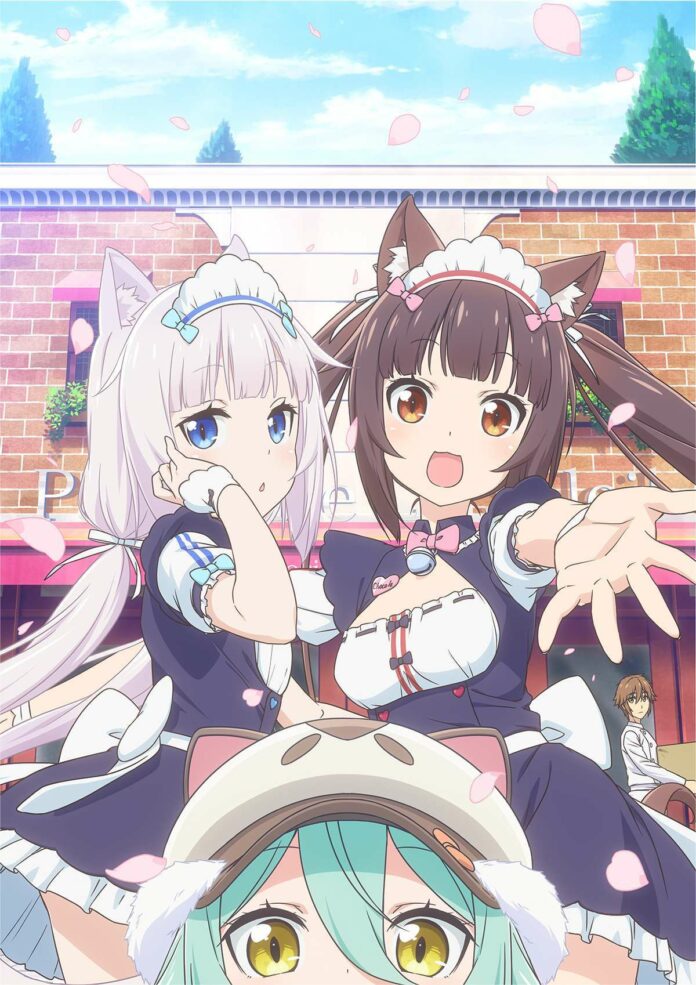 nekopara anime nekopara