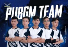 flash wolves indonesia