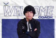 flash wolves indonesia