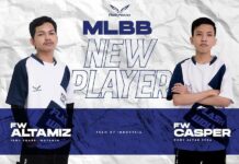 mlbb