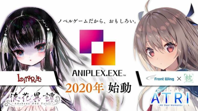 aniplex-exe-projcet
