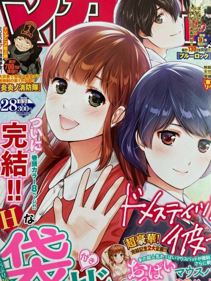 domestic na kanojo