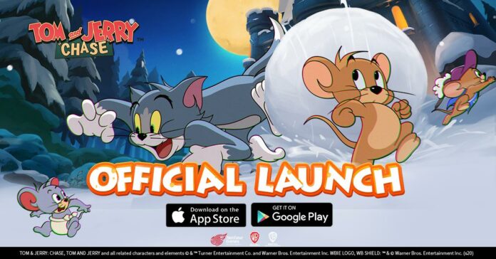 Tom and Jerry: Chase Tom and Jerry