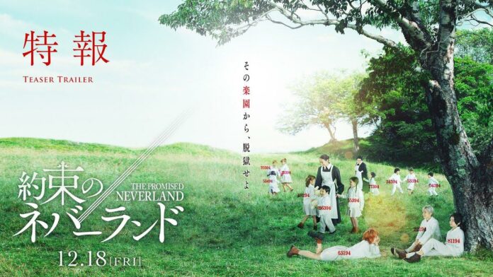 promised neverland yakusoku no neverland