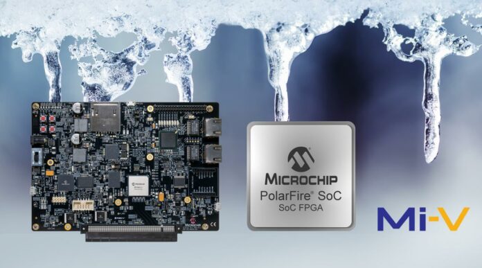 SoC FPGA microchip