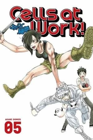 hataraku saibou cells at work