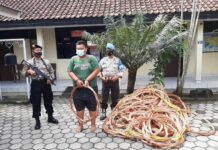 Jual Kabel Sisa Proyek KRL Jogla-Solo, Seorang Karyawan Diringkus Polisi