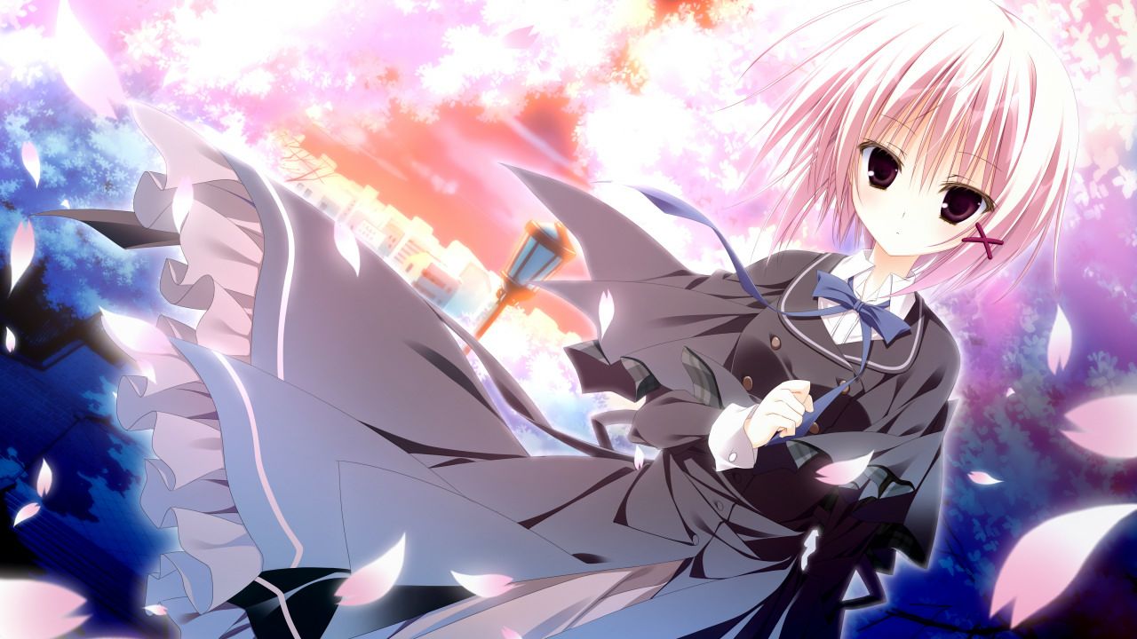 sakura no uta sakuuta