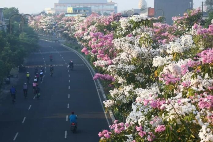 surabaya