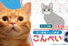 Kucingnya Natsuki Hanae Akan Menjadi Seiyu dalam Anime Love All Play anime love all play