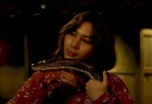 Ulasan Film KKN di Desa Penari: I Almost Dragged into Another World by Snake Goddess, Luckily Saved by Shape Shifting Elder, and Now My Movie Become Best Seller md pictures