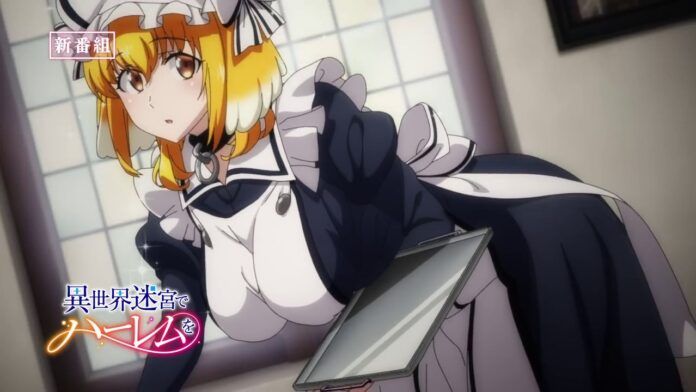 Isekai Meikyu de Harem wo Isekai Meikyu