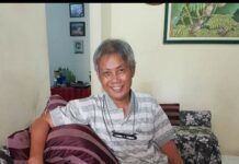 Komikus Lan Kelana Tutup Usia kelana