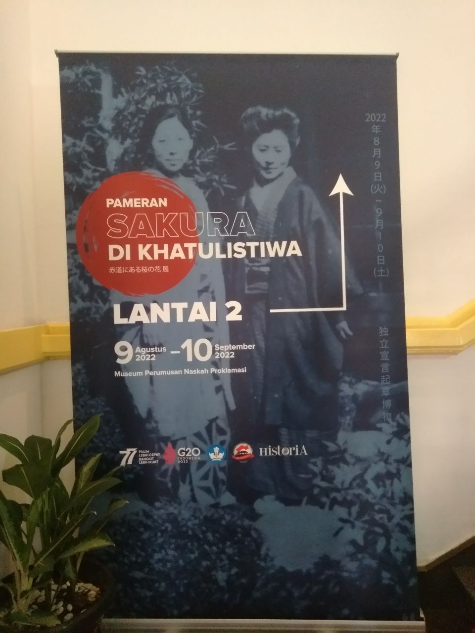 sakura di khatulistiwa