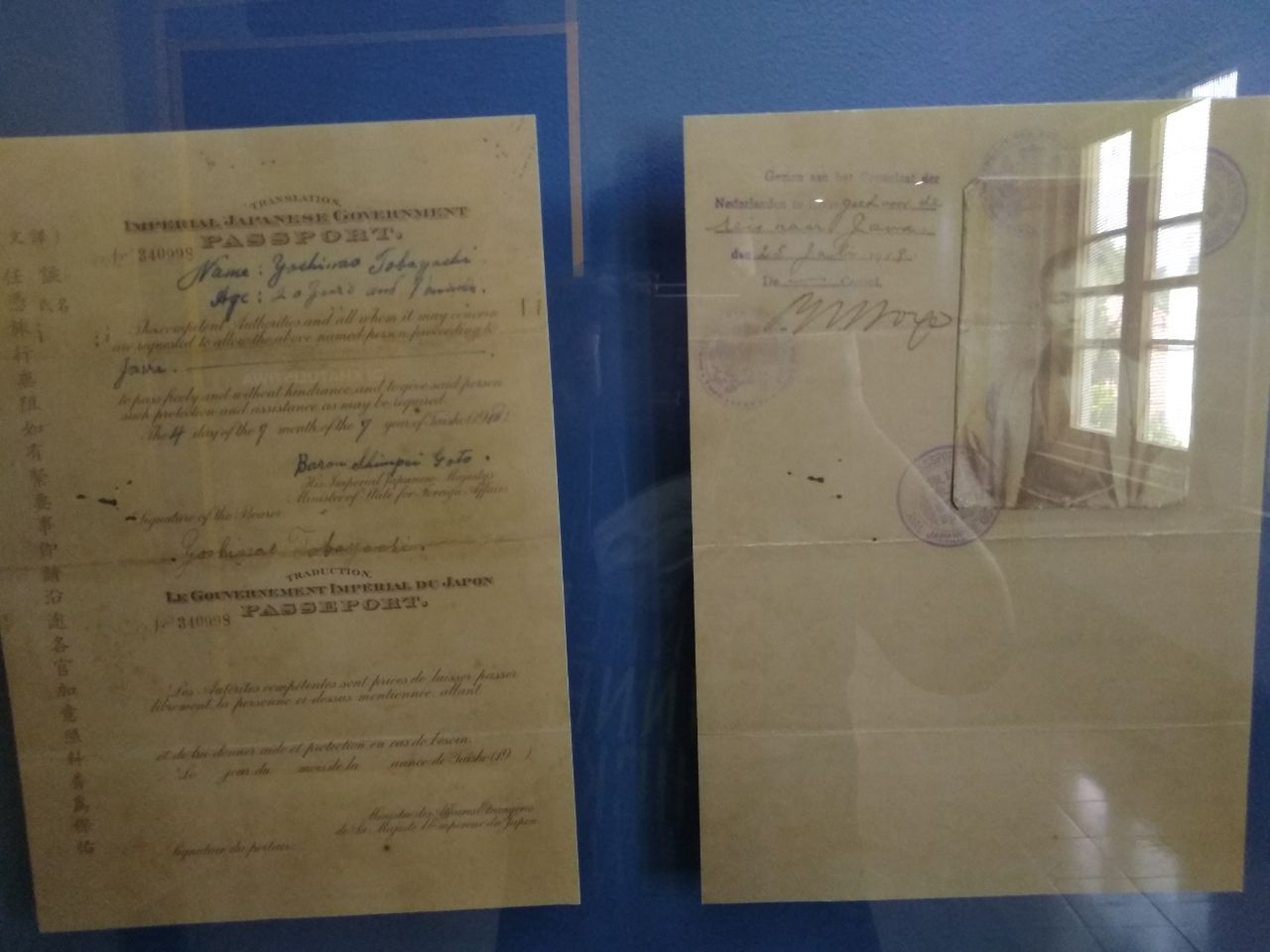 sakura di khatulistiwa