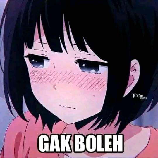 meme kuzu no honkai