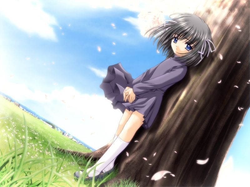 sorechiru Sore wa Maichiru Sakura no You ni