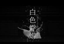 Intip Video Musik Shiroiro Kagerou dari Aimer Shiroiro Kagerou