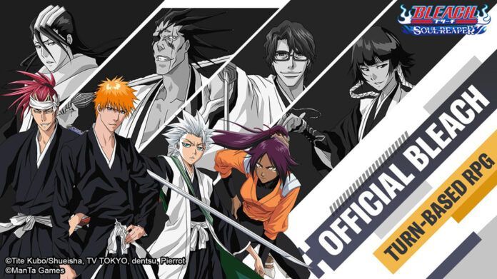 BLEACH Soul Reaper