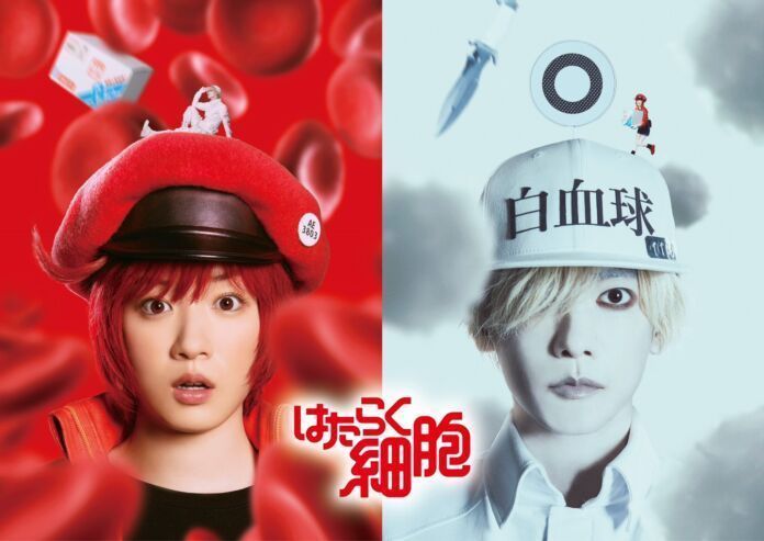 Cells at Work Hataraku Saibou