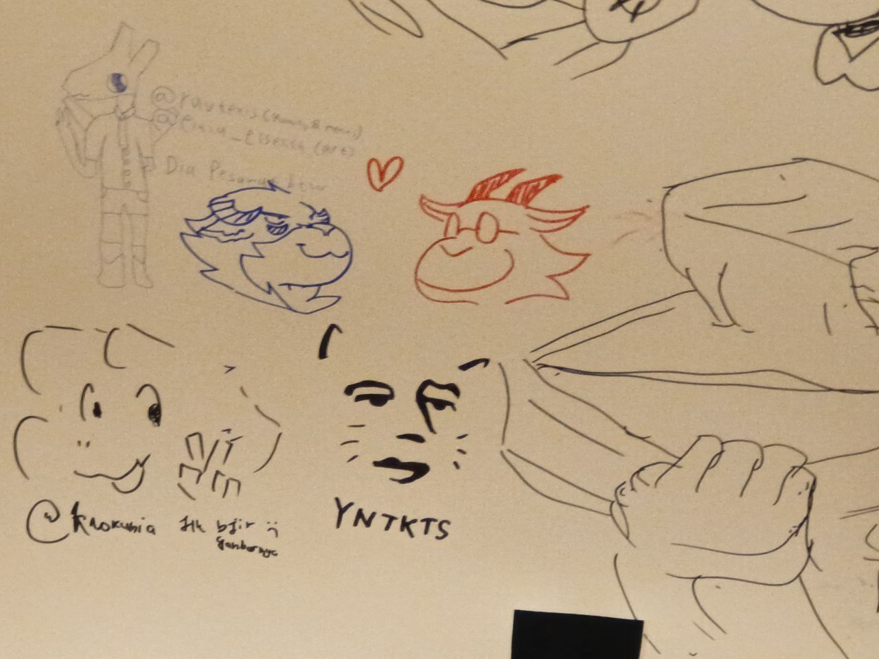 cafa creators anthro fest 2024