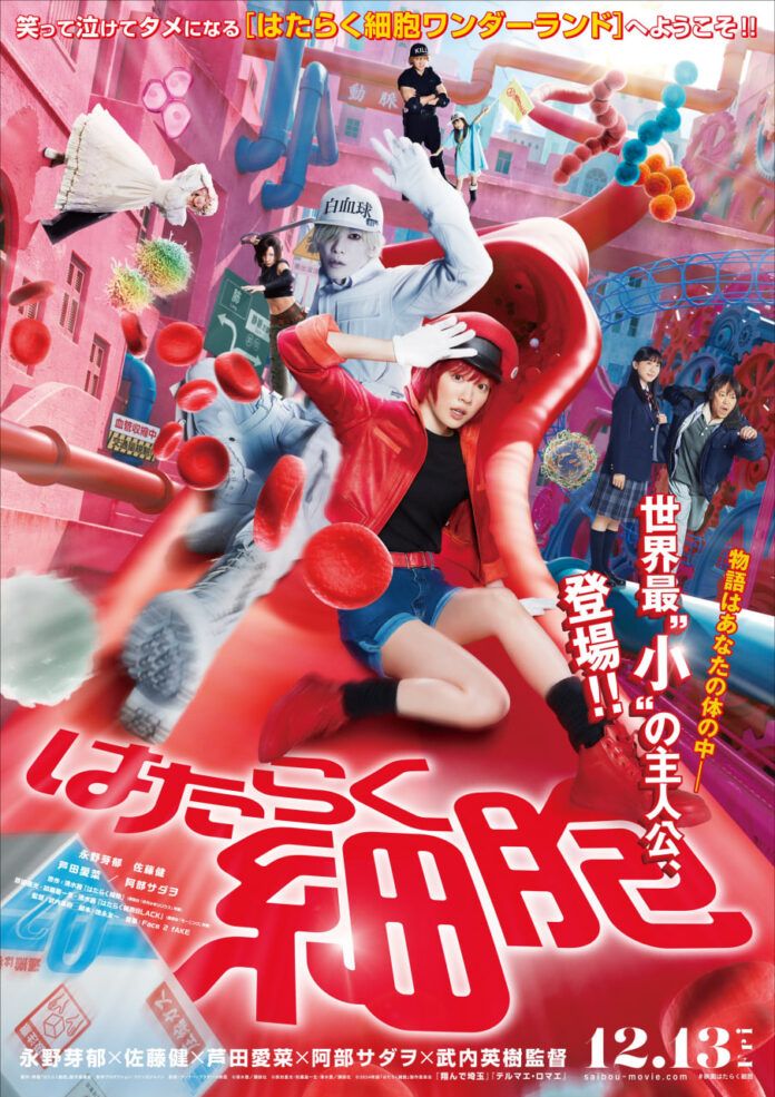 cells at work hataraku saibou