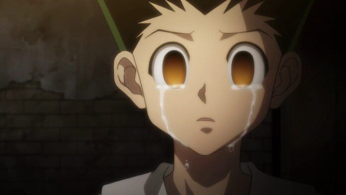 hunter x hunter hiatus x hiatus