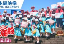 Yuk Intip Para Platelet di Live-Action Cells at Work! hataraku saibou