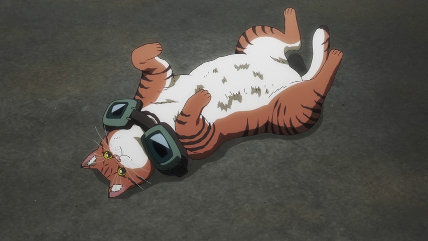 anime-night-of-the-living-cat-0 night nyaight of the living cat