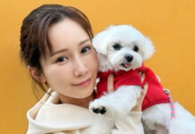 Minami Kojima Kini Jualan Pakaian Anjing LOULOU