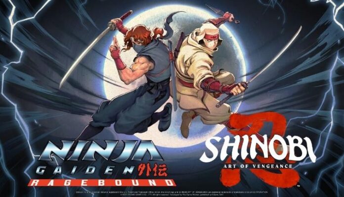 shinobiartofven_pathofninja