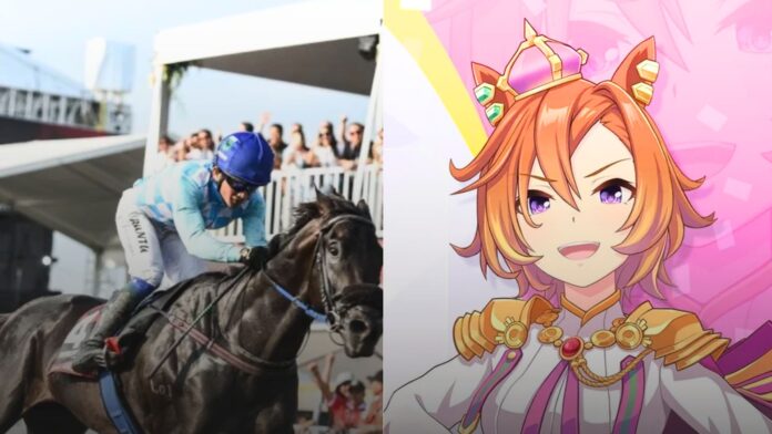 King Argentine TM Opera O Umamusume King Argentine TM Opera O Umamusume