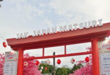 Jak-Japan Matsuri 2025: Perayaan Persahabatan Indonesia-Jepang di Jakarta jak japan Matsuri 2025