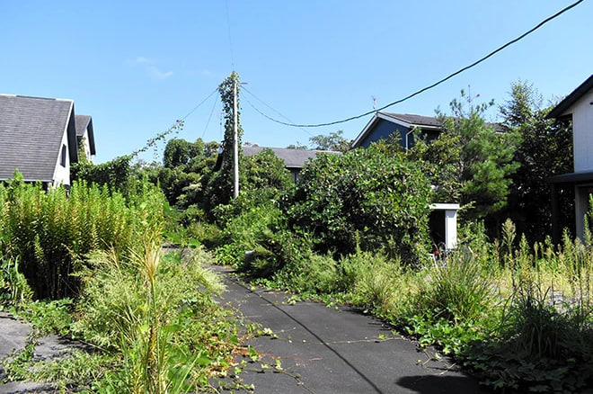 fukushima kehidupan di jepang