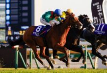 Calandagan Juara Japan Cup 2025, Pecahkan Rekor Almond Eye! calandagan japan cup 2025 45