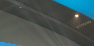 Pikachu meet n greet