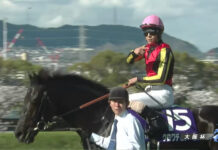 croix du nord osaka hai 2026