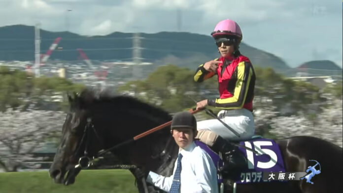 croix du nord osaka hai 2026 croix du nord osaka hai 2026