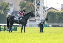 Japanese Derby 2026: Lovcen Semakin Dekat dengan Gelar Triple Crown! lovcen japanese derby