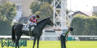 Japanese Derby 2026: Lovcen Semakin Dekat dengan Gelar Triple Crown! lovcen japanese derby