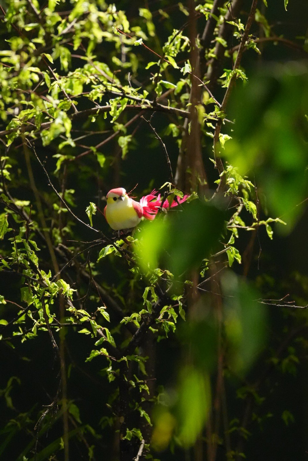 Scene Test : Wildlife