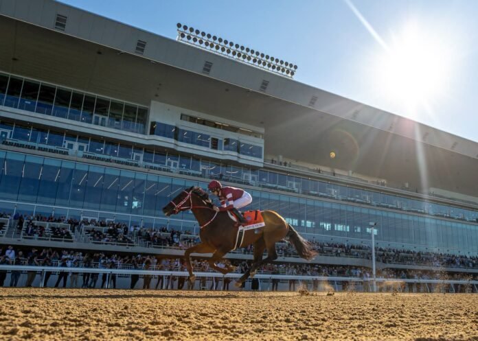 Forever Young G1 Jockey Club Gold Cup