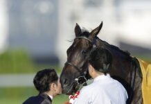 Shuka Sho 2026: Langkah Mulus Monroe Walk Menangkan Race Terakhir Classic Triple Tiara!
