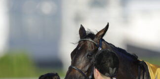 Shuka Sho 2026: Langkah Mulus Monroe Walk Menangkan Race Terakhir Classic Triple Tiara!